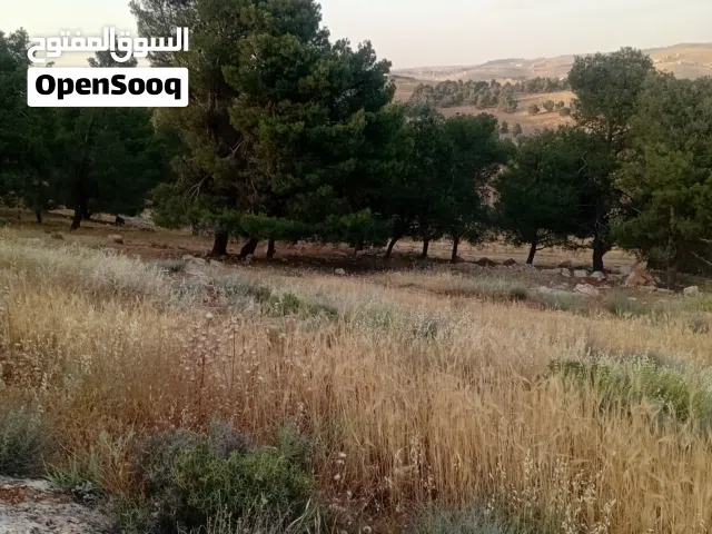 Mixed Use Land for Sale in Jerash Unaybah