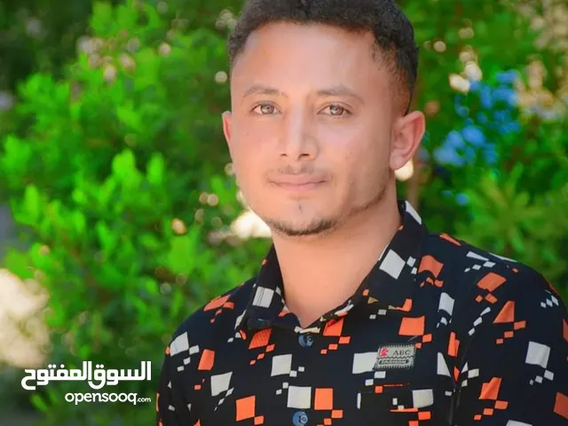 شرف احمد احمد عبد الرب