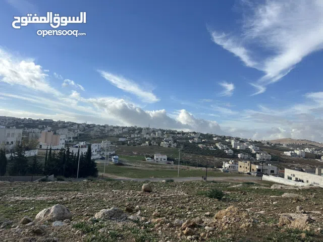 Residential Land for Sale in Amman Shafa Badran