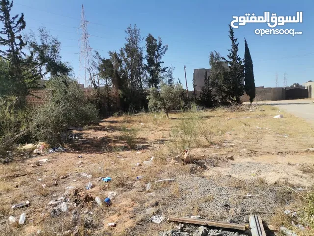 قطعة ارض للبيع من المالك مباشرة نص شيك أو نص كاش