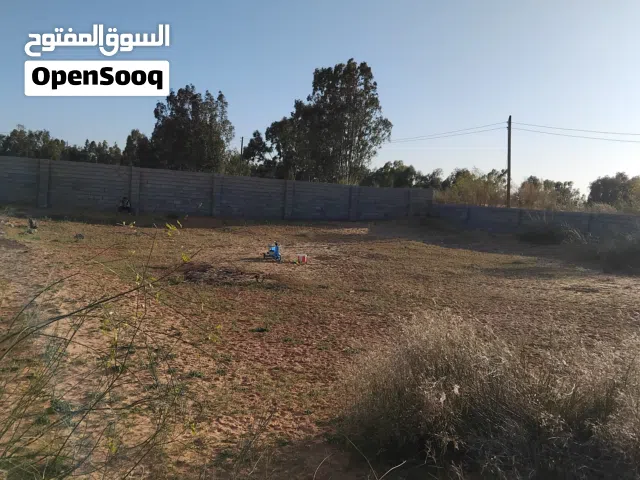 1000متر في بير التركي للبيع كاش أو تحويل مصرف الجمهورية