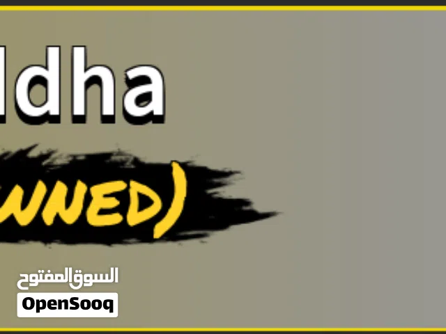 Roblox Accounts and Characters for Sale in Amman