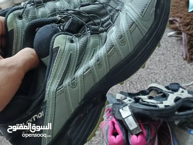 36 Others in Irbid