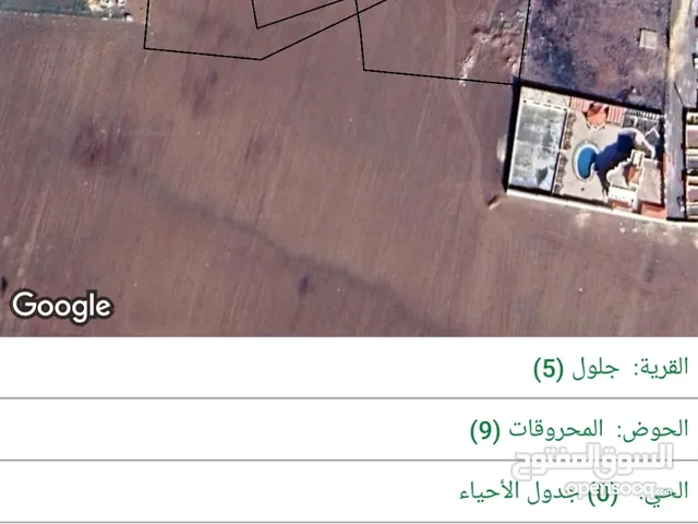 قطعة أرض مساحة 7065 للبيع - عمان - جلول