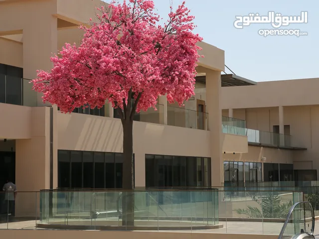 محل للايجار فالعذيبه
