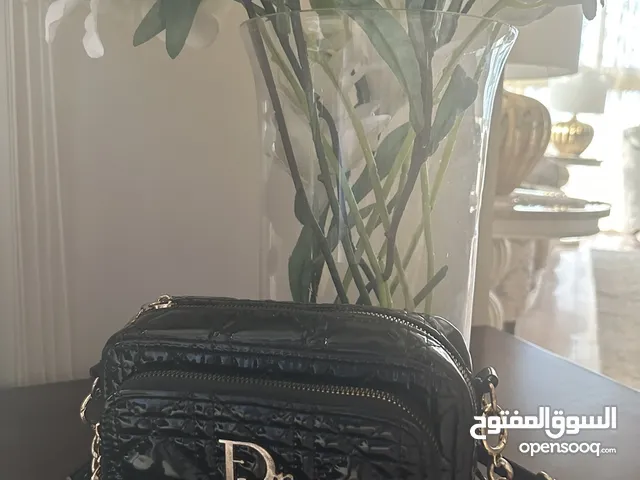 Fake Dior handbag