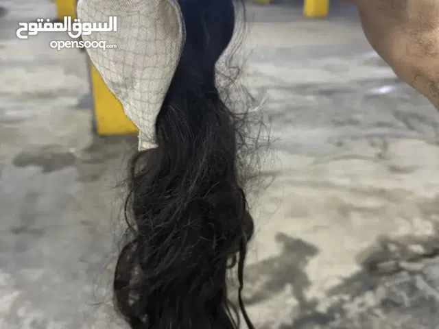 مستلزمات الشعر