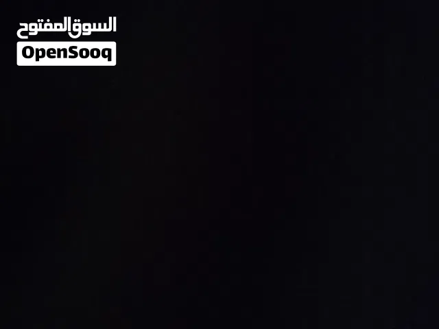 اريد كلب للتبني يعنى (( مجانا ))