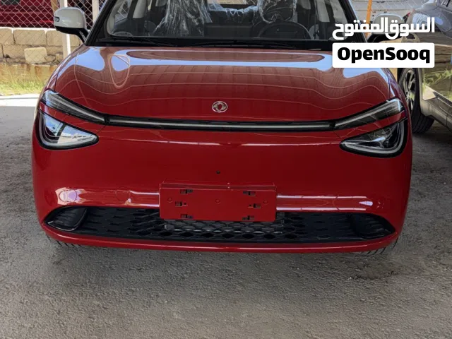 2025 Dongfeng Nammi Box