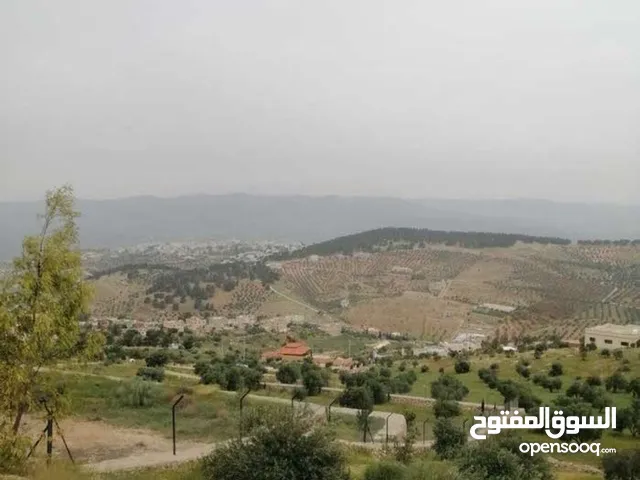 ارض للبيع جامعة فيلادلفيا