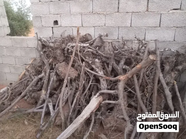 حطب زيتون للبيع