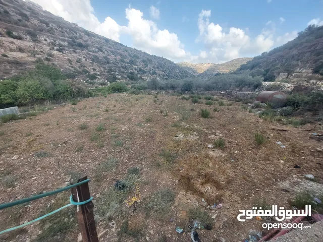 Mixed Use Land for Sale in Salfit Kufr Al-Dik