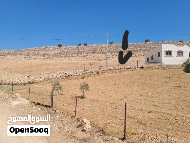 Residential Land for Sale in Zarqa Birayn