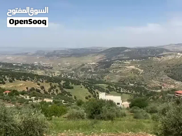 Farm Land for Sale in Salt Al Balqa'