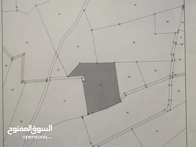 بيع مزرعه في اراضي ذيبان