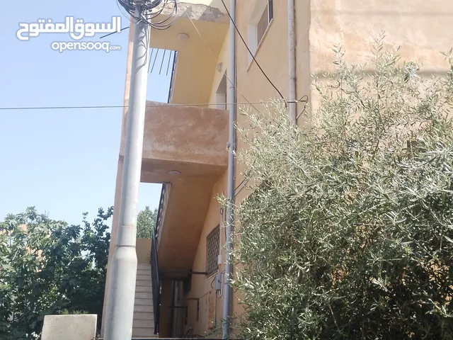 بيوت طابقين واحدة شقتين والثانية ثلاث شقق