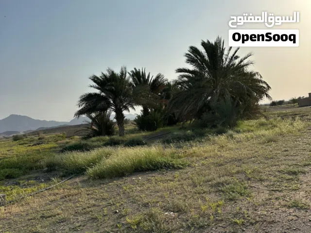 مزرعه للبيع مساحه كبيره وموقع ممتاز