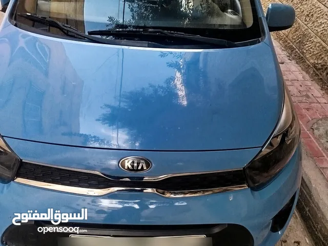 بصمه فل فحص نخب19