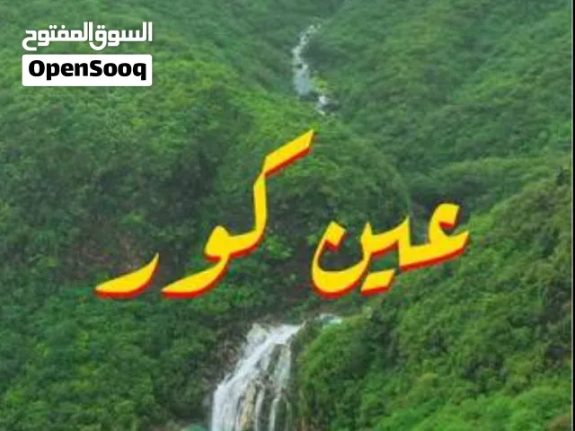 مطلوب شريك ممول لإستيراد سلع