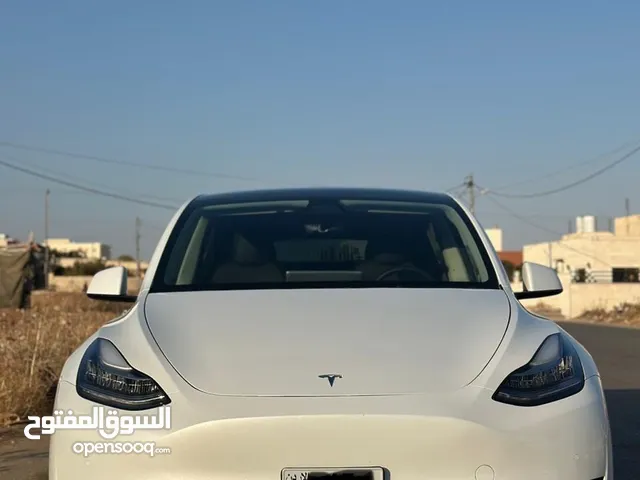 تسلا موديل واي للبيع