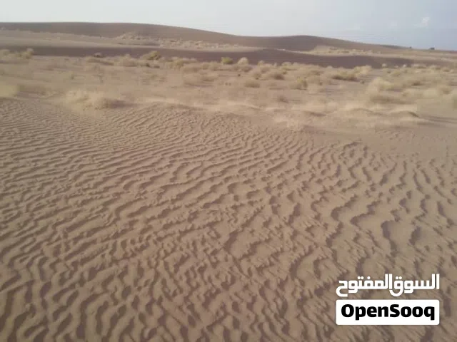 Farm Land for Sale in Al Hudaydah Other
