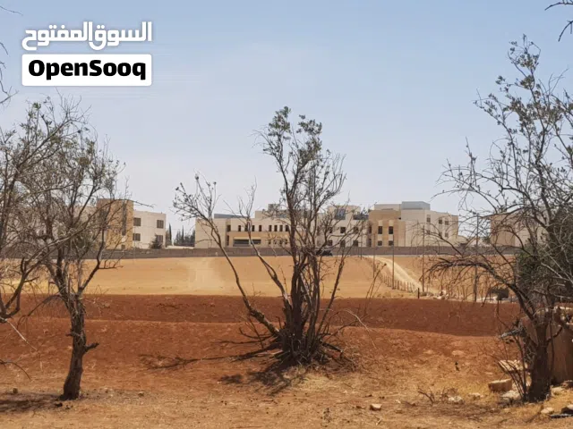 أرض زراعية للبيع في القسطل قرب جامعة ابن سينا