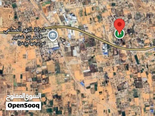 4 قطع للبيع المساحات 250م - 250م - 300م - 300م في وادي الربيع بالقرب من طريق فاطمة الزهراء الخلة