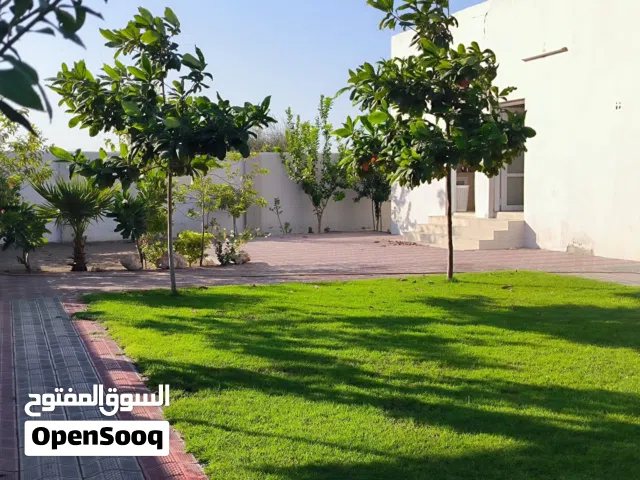 شالية للبيع
