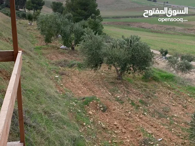 Mixed Use Land for Sale in Irbid Huwwarah