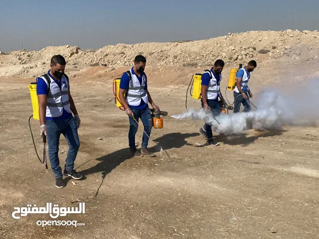 شركة مكافحة حشرات ورش مبيدات ورش دفان وتعقيم منازل رش مبيد حشري ومكافحة جميع أنواع الحشرات بالرياض
