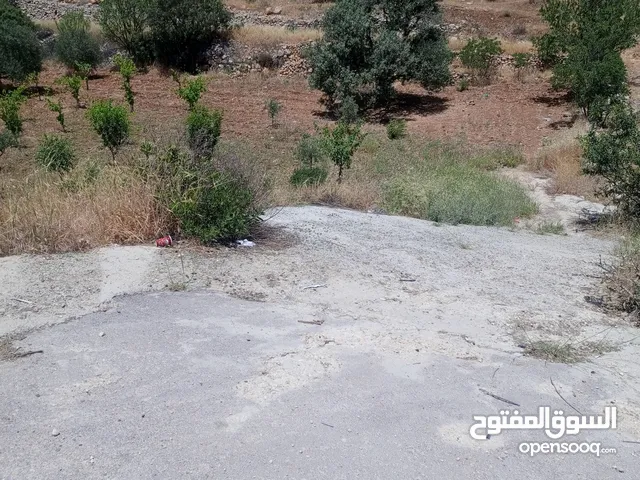 Residential Land for Sale in Bethlehem Beit Fajar