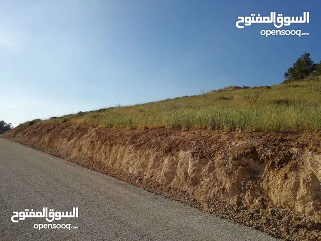 للبيع ارض من اراضي شمال عمان 4 دونمات