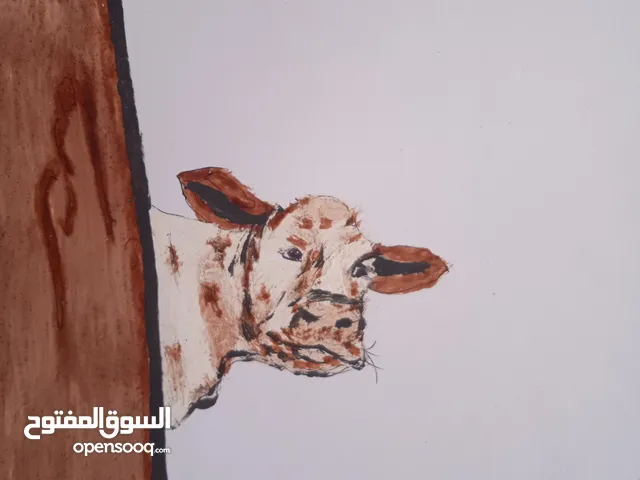رسم لبقرة بالصباغة الماءية بدون اطار