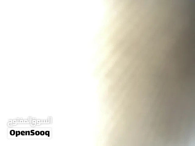 شقة شارع الجمهورية
