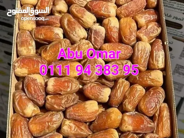 صقعى سعودى جامبو مميز