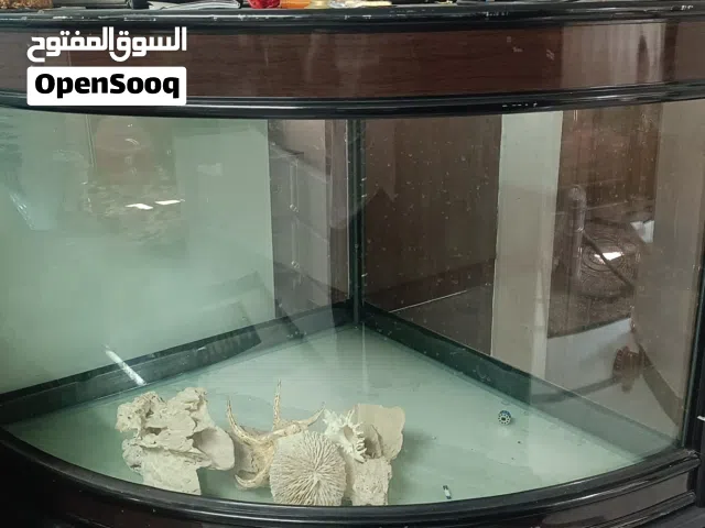 حوض سمك زاوية