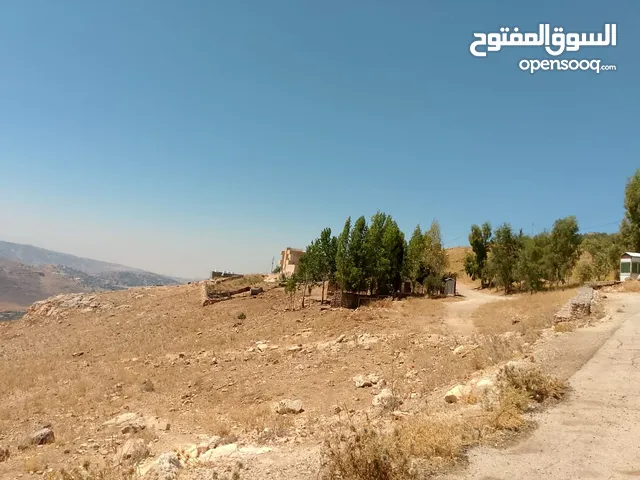 Farm Land for Sale in Salt Al Balqa'