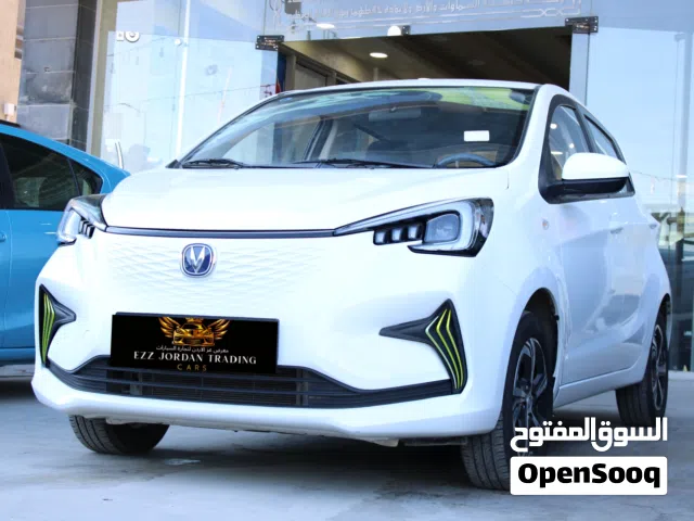 2025 Changan E-Star