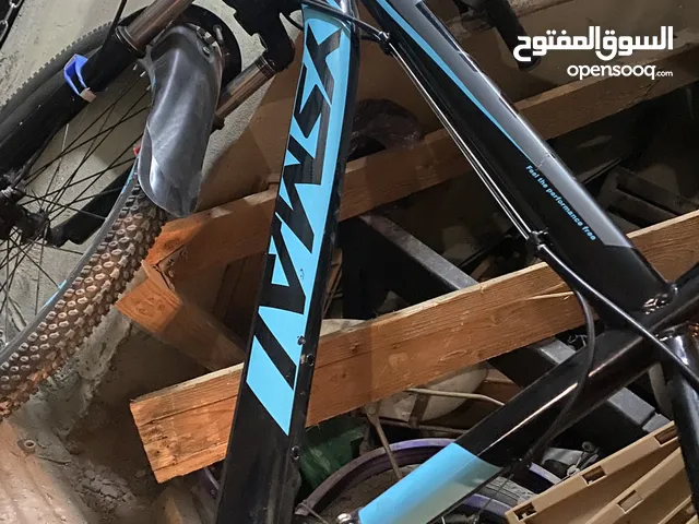 بسكليت جنط 24