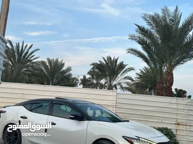 Nissan maxima 2019 sr