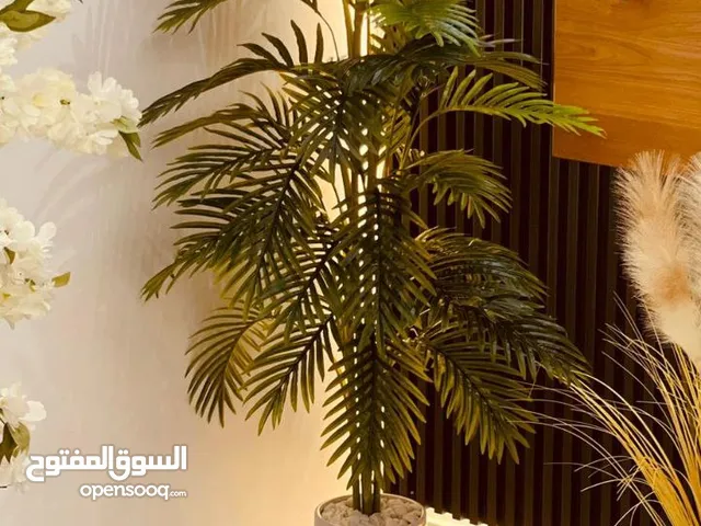 شجرة النخيل الاصطناعية الفاخرة.. لمسة فخامة تدوم للابد. خليك متميز عن غيرك