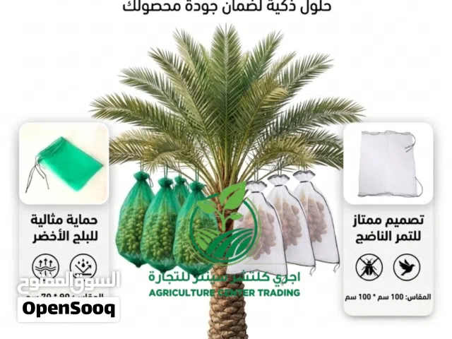 أكياس شبكية فاخرة لحماية التمور والنخيل، أكياس النخيل البيضاء 100*100سم، وأكياس النخيل الخضراء 90*70