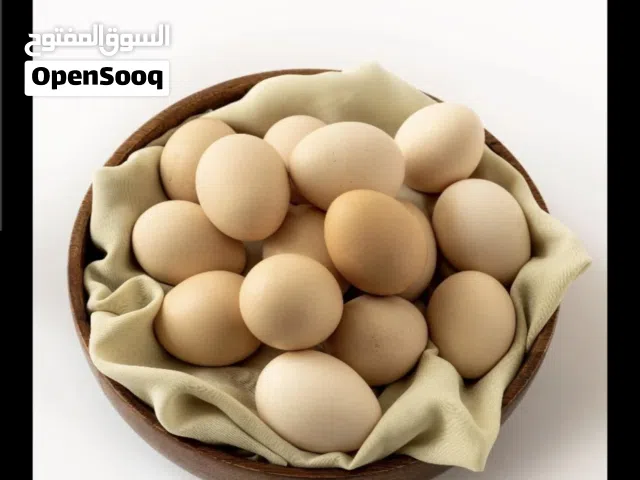 بيض محلي(عماني)