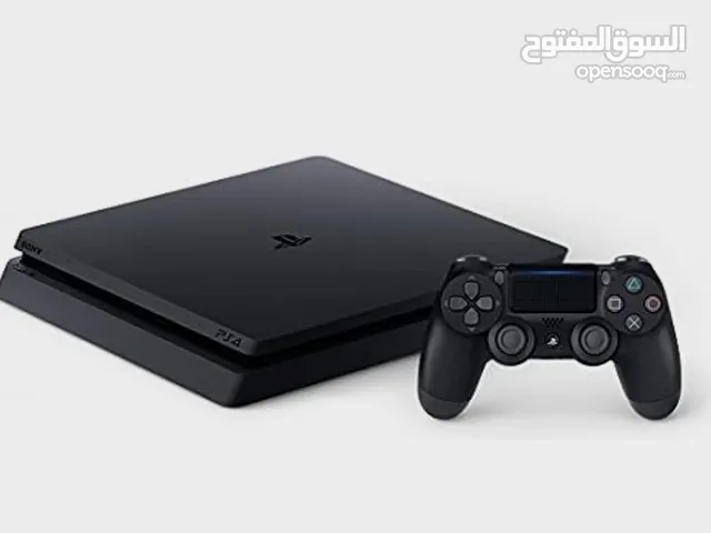 عروض اليوم بلسيشنات 4سلم