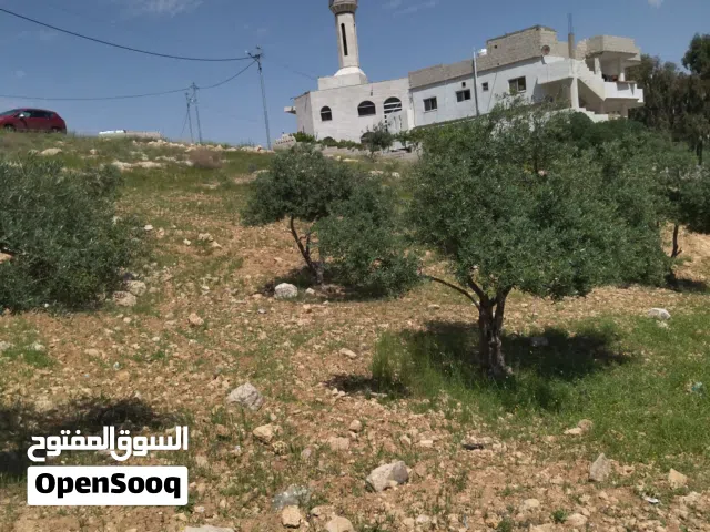 Residential Land for Sale in Zarqa Birayn