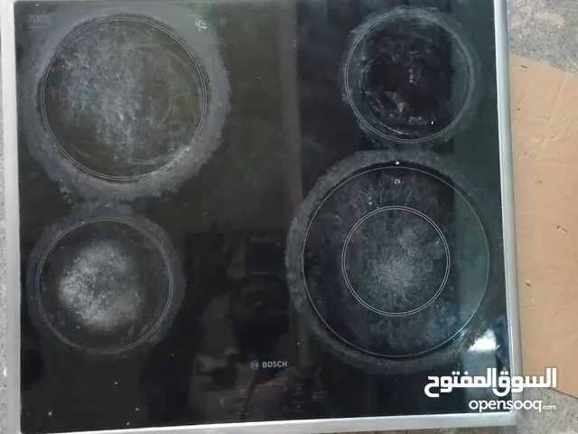 Electric burner (hot plate)