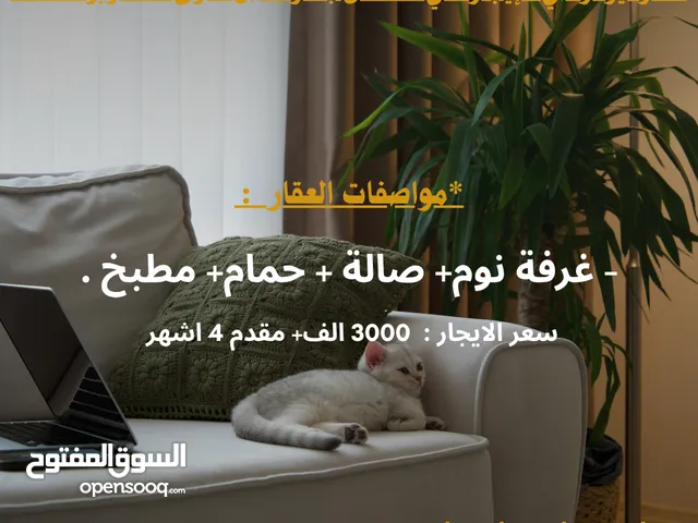 شقة بالأثاث للايجار -منطقة حي الاندلس بالقرب من جامع العروسي R2250