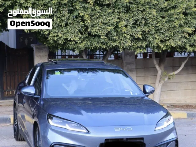 2025, بي واي دي, سيل