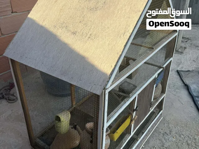 السلام عليكم سزنه حجم كبير ربي يبارك حالتها ممتازه السعر 140 المكان طرابلس ( سوق الجمعه)