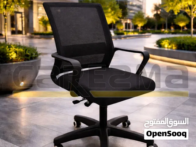 ASSTINT CHAIR 666